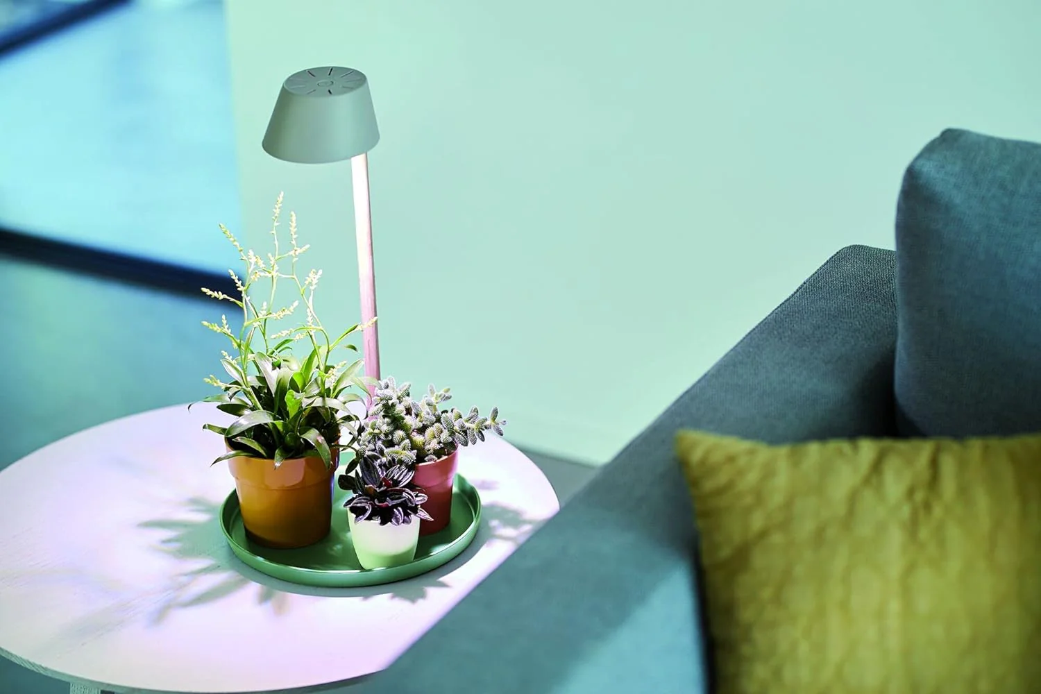 Plant LED Light Care 11cm - Glacier Grey - Image 5
