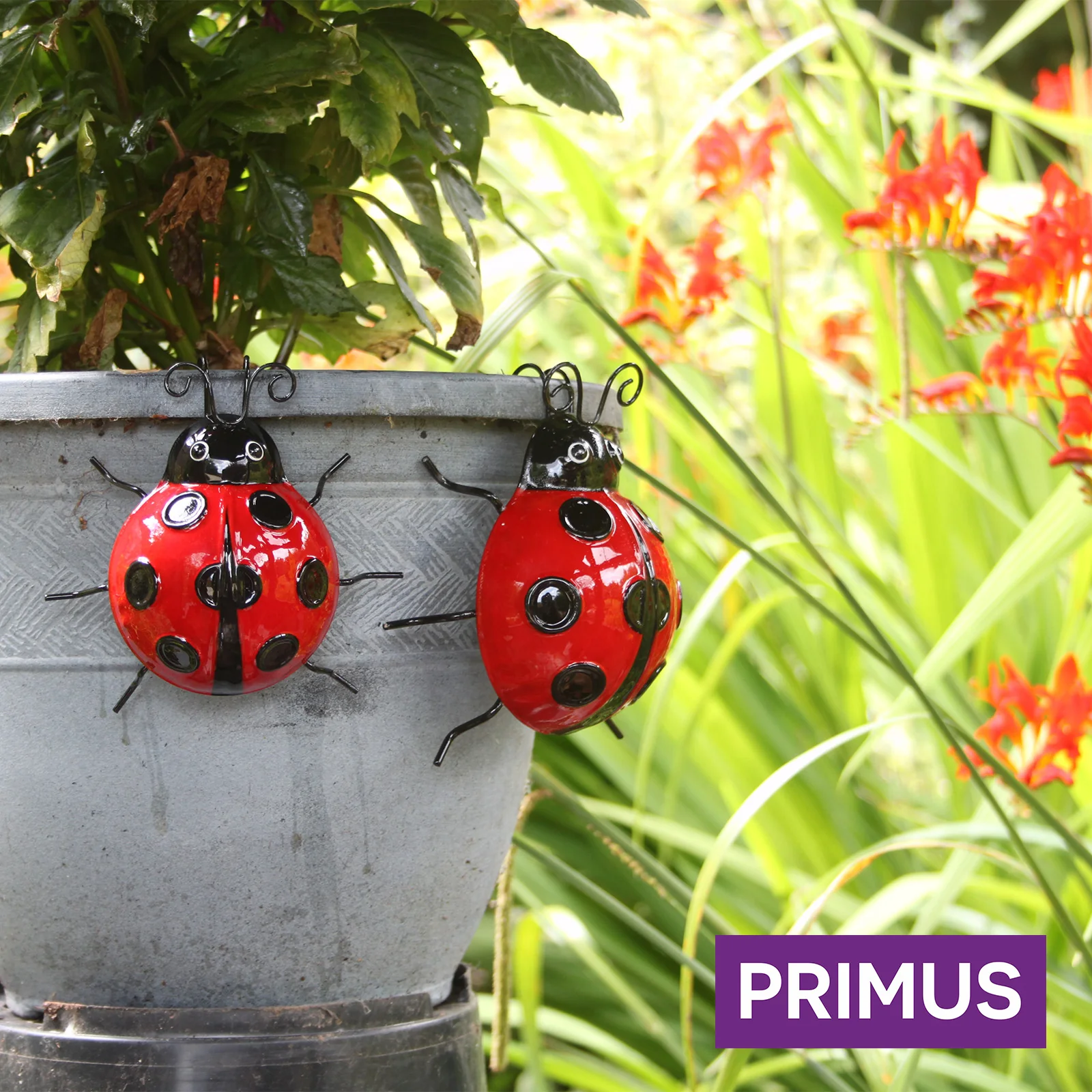 Medium Metal Ladybird Pot Hanger for Garden - Image 2