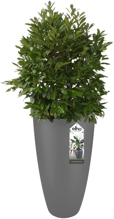 Pure Soft Round High 50cm - Anthracite - Image 4