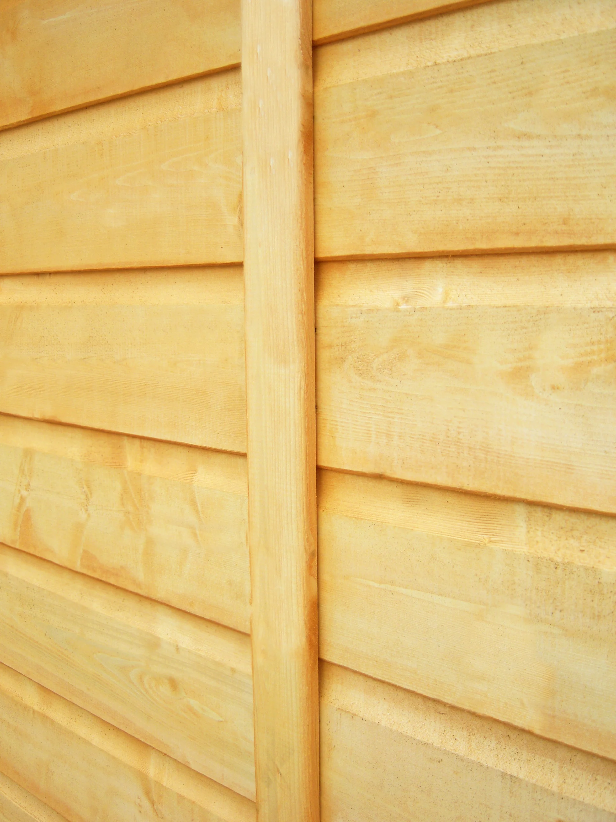 Shire Apex Bike Store Shiplap no floor - Image 4