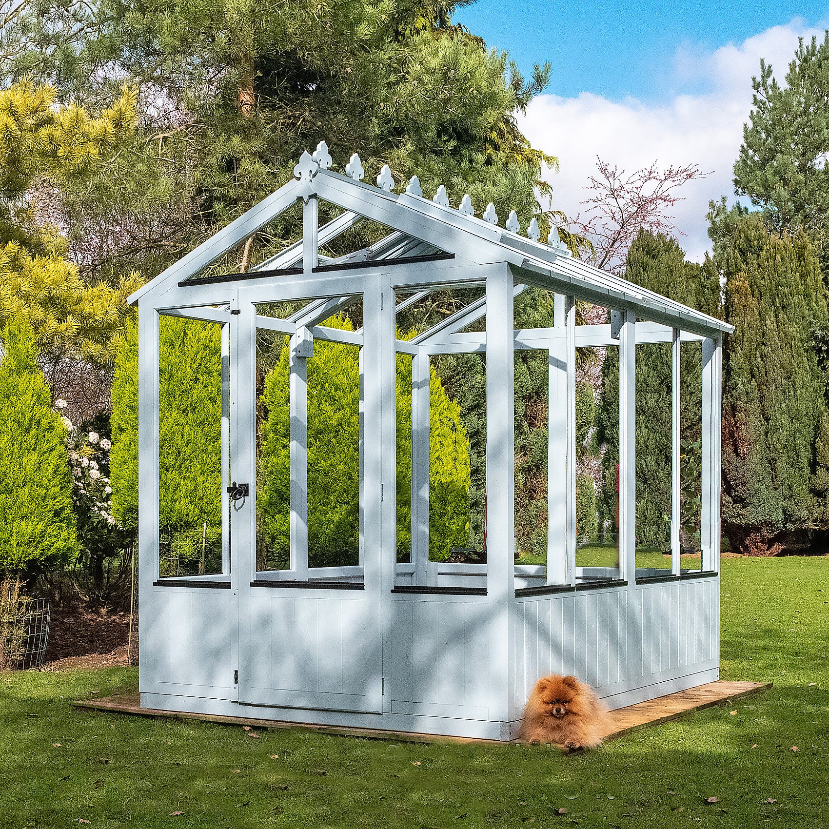 Shire Holkham 6x8 Wooden Greenhouse - Image 14
