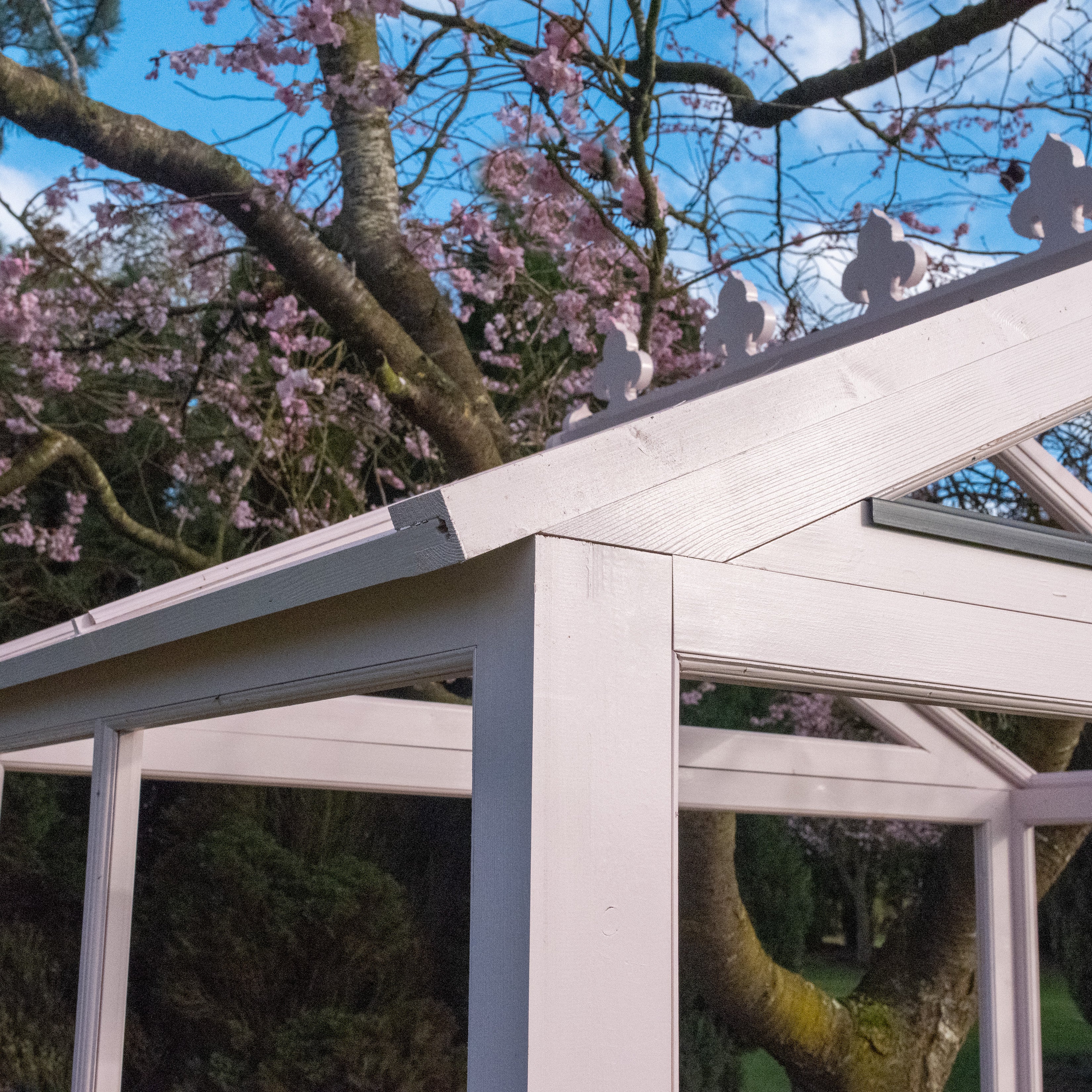 Shire Holkham 6x8 Wooden Greenhouse - Image 18