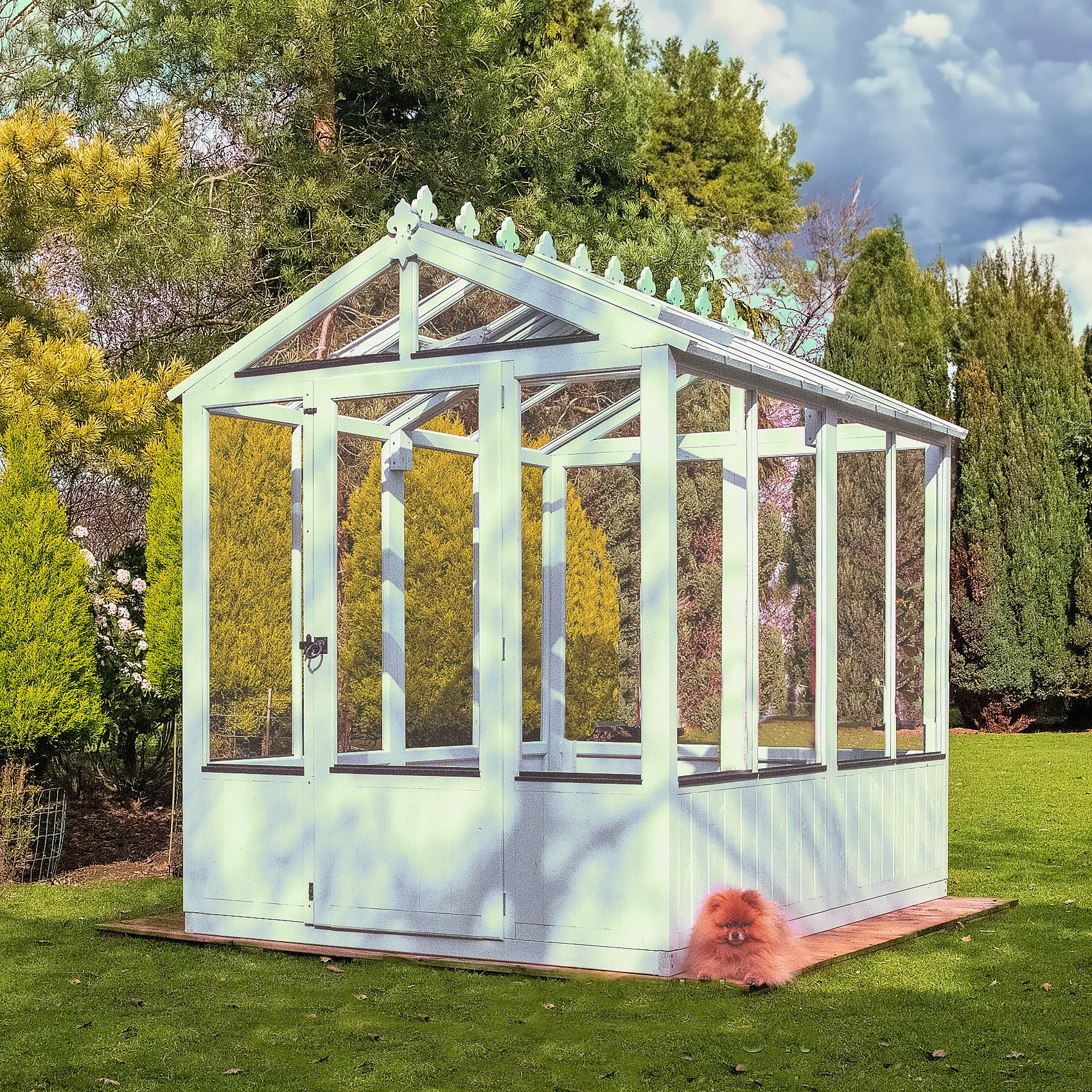 Shire Holkham 6x8 Wooden Greenhouse - Image 21