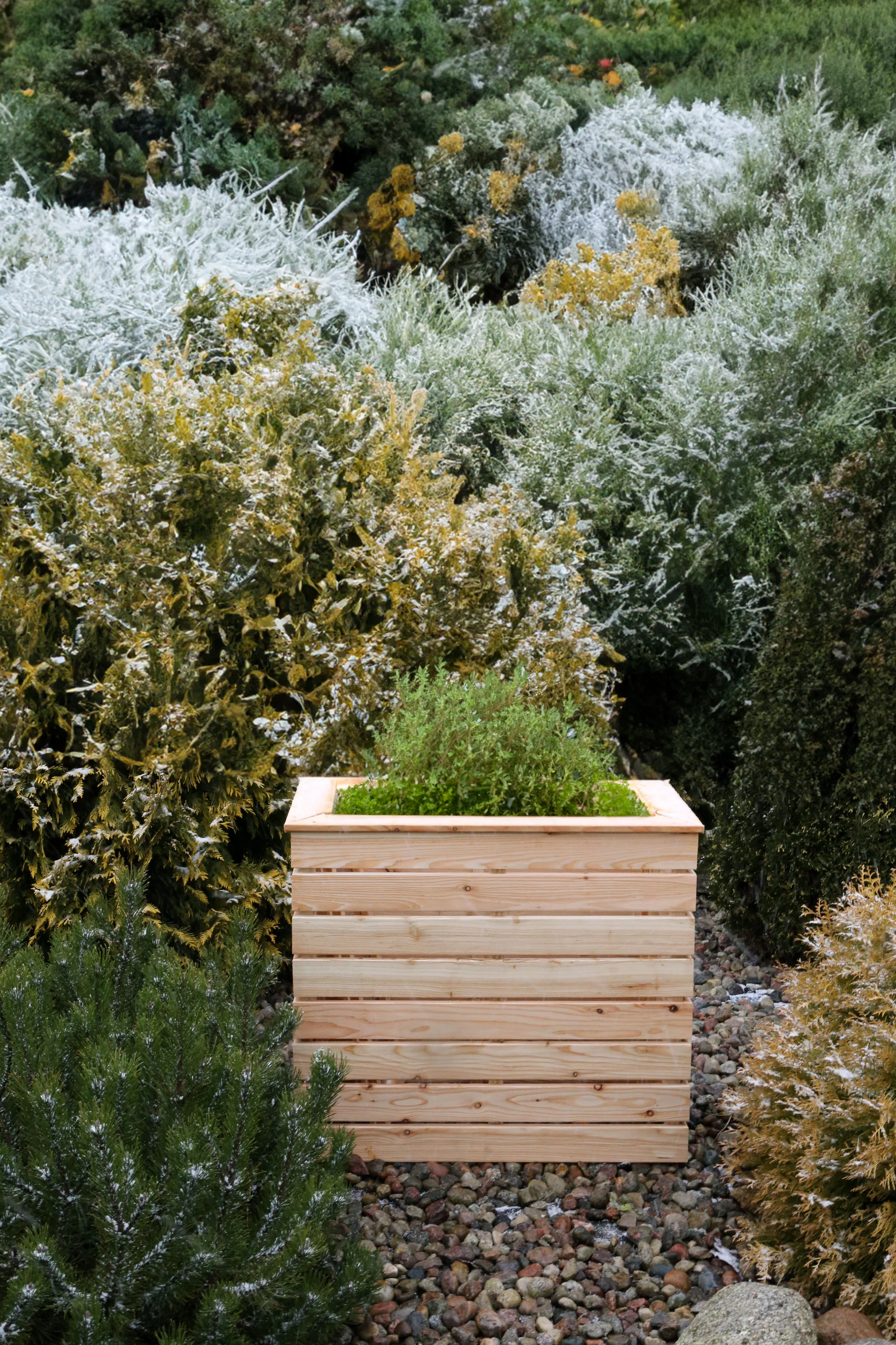 Shire Pia Larch Planter - Image 2