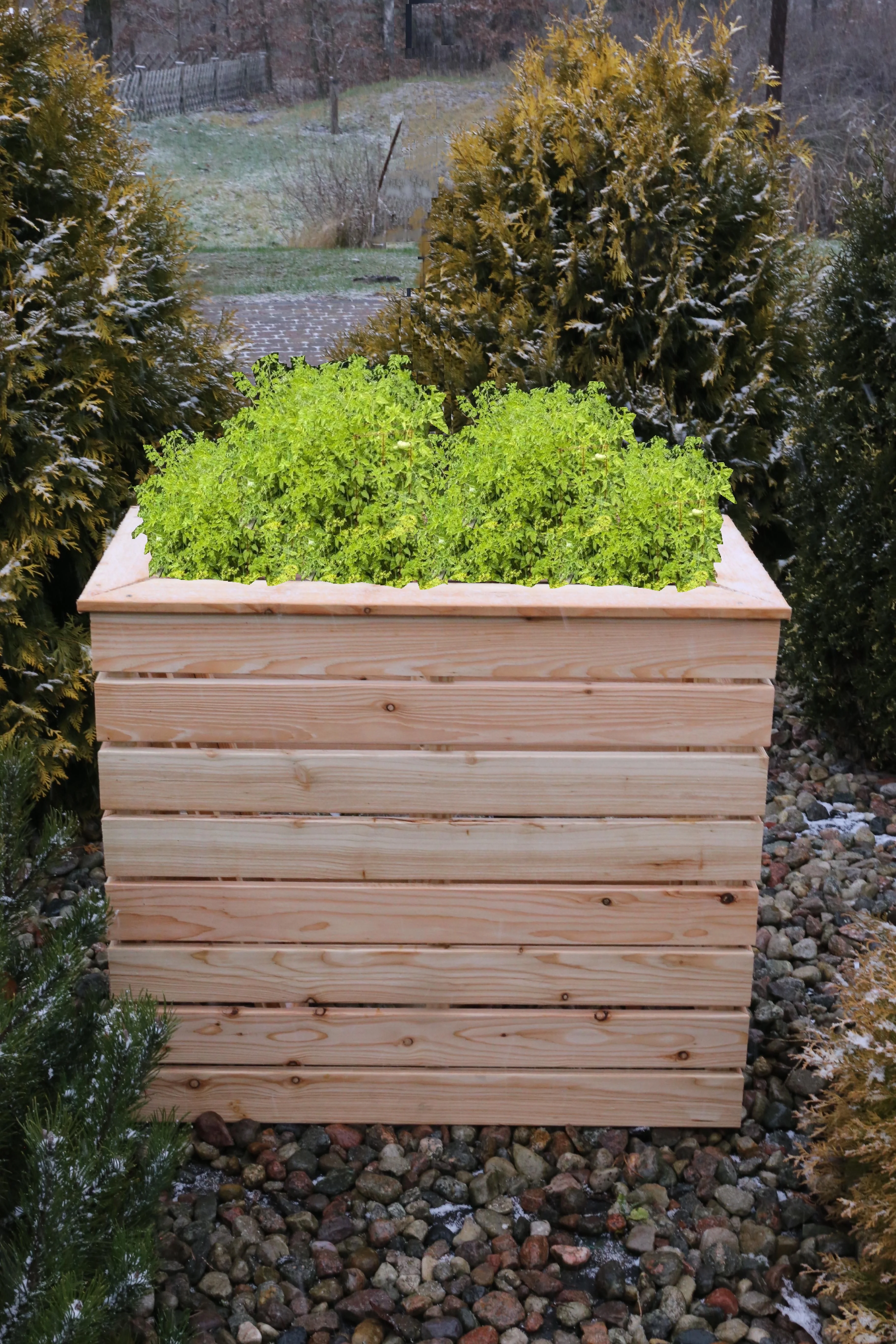 Shire Pia Larch Planter - Image 5