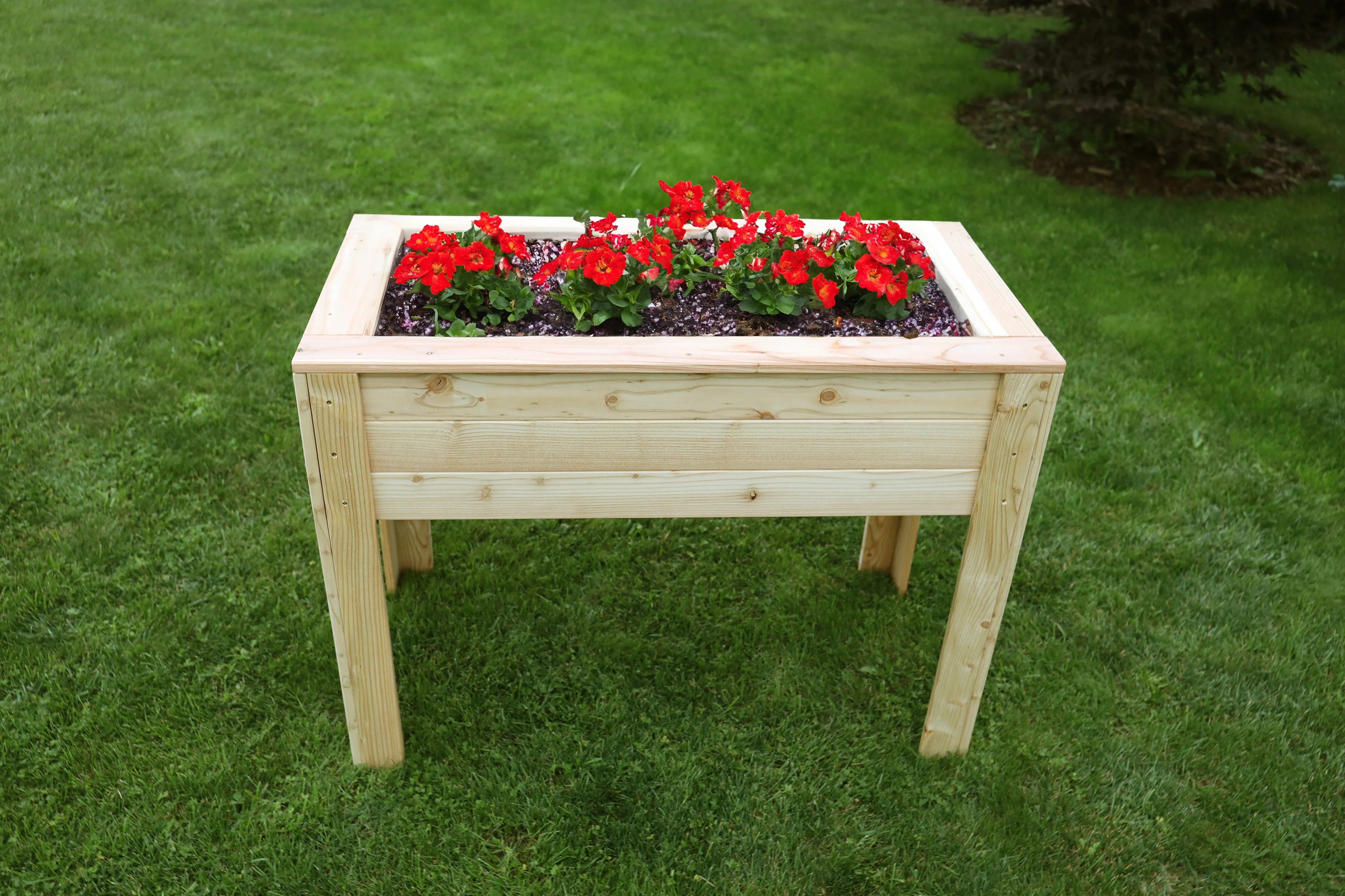 Shire Stef Larch Planter