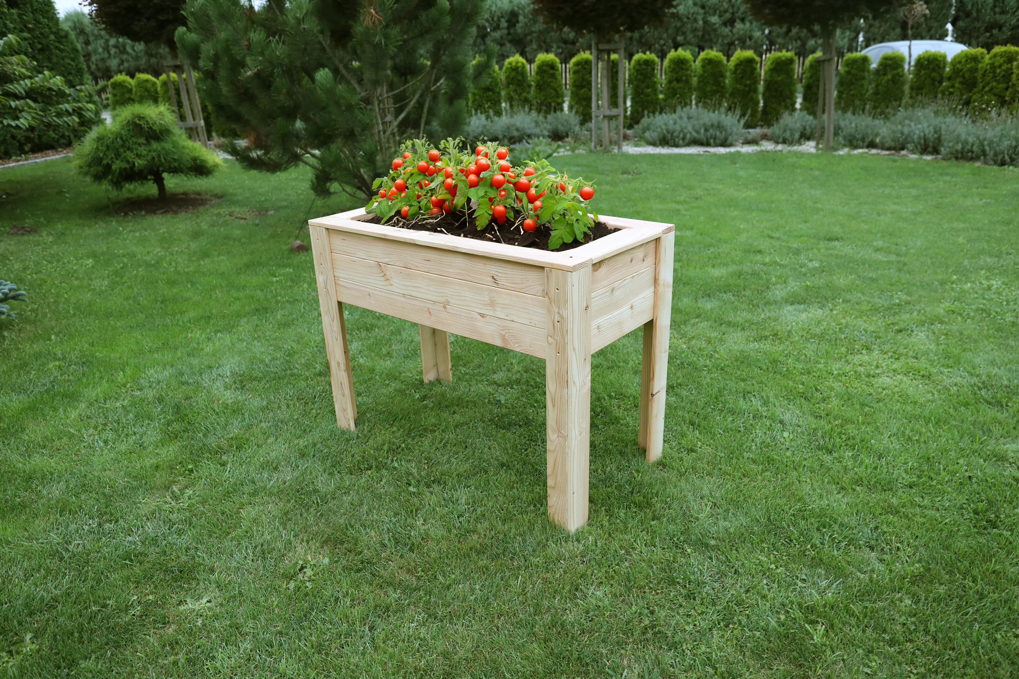 Shire Stef Larch Planter - Image 2