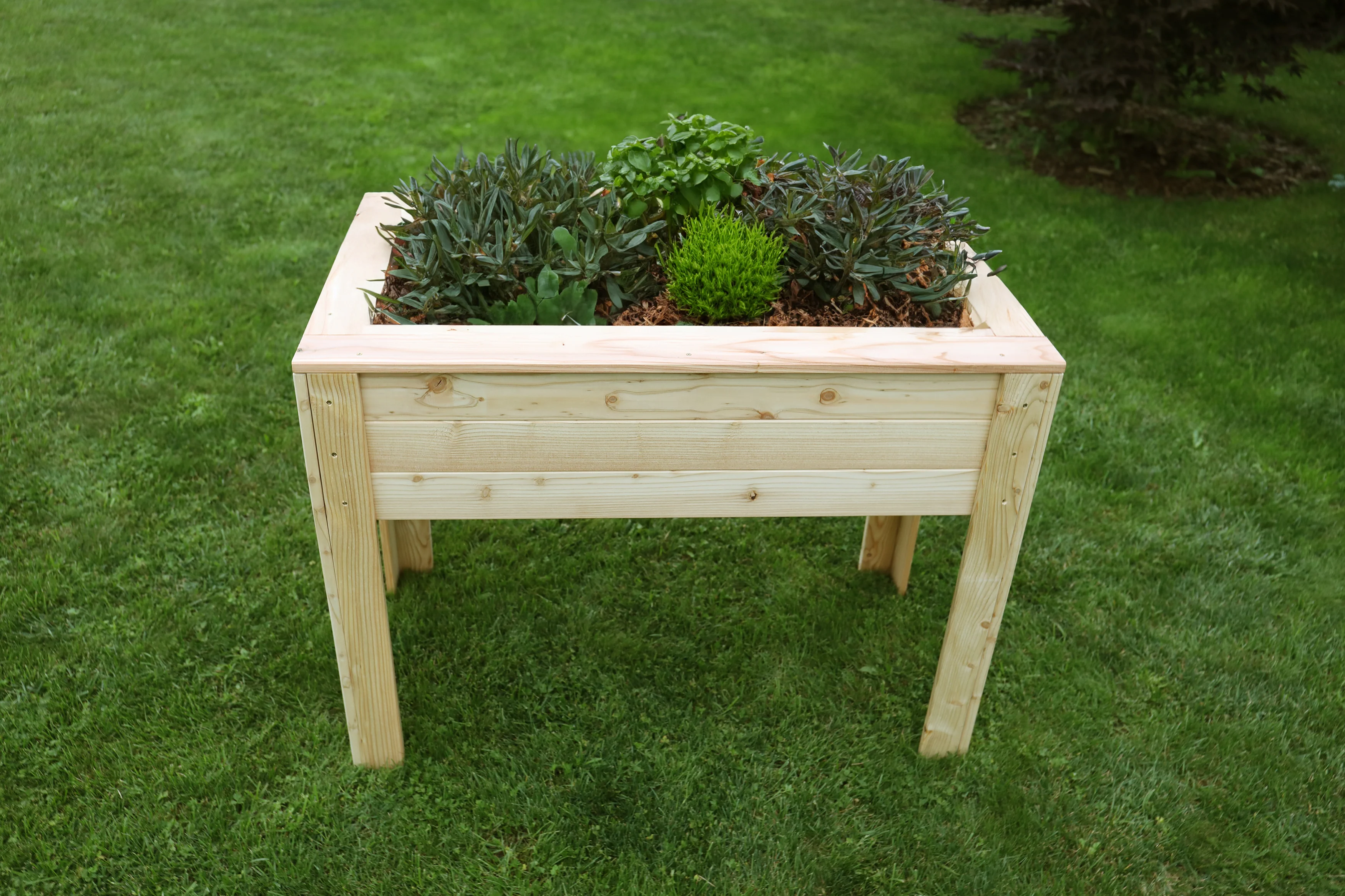 Shire Stef Larch Planter - Image 3