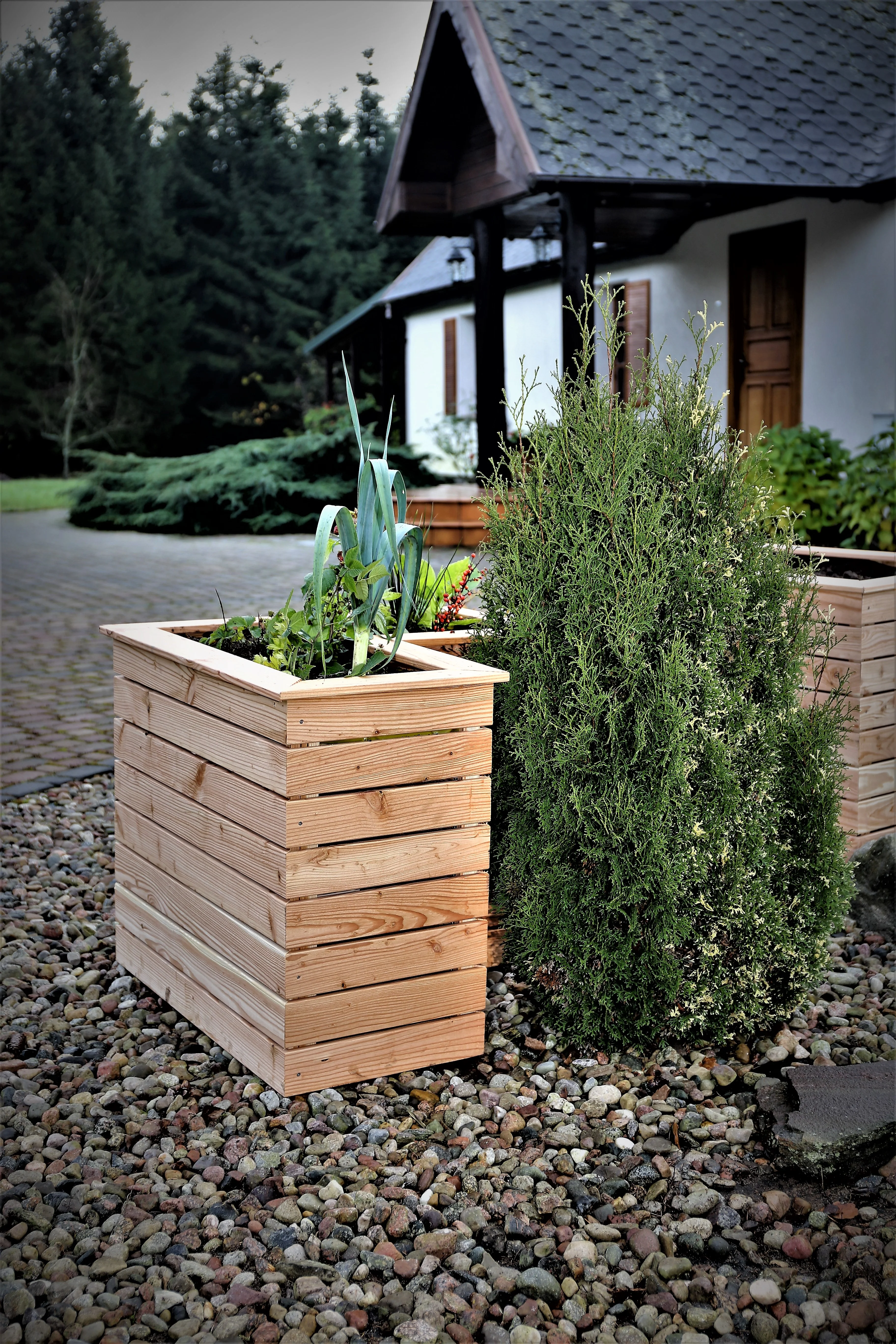 Shire Tina Larch Planter - Image 2