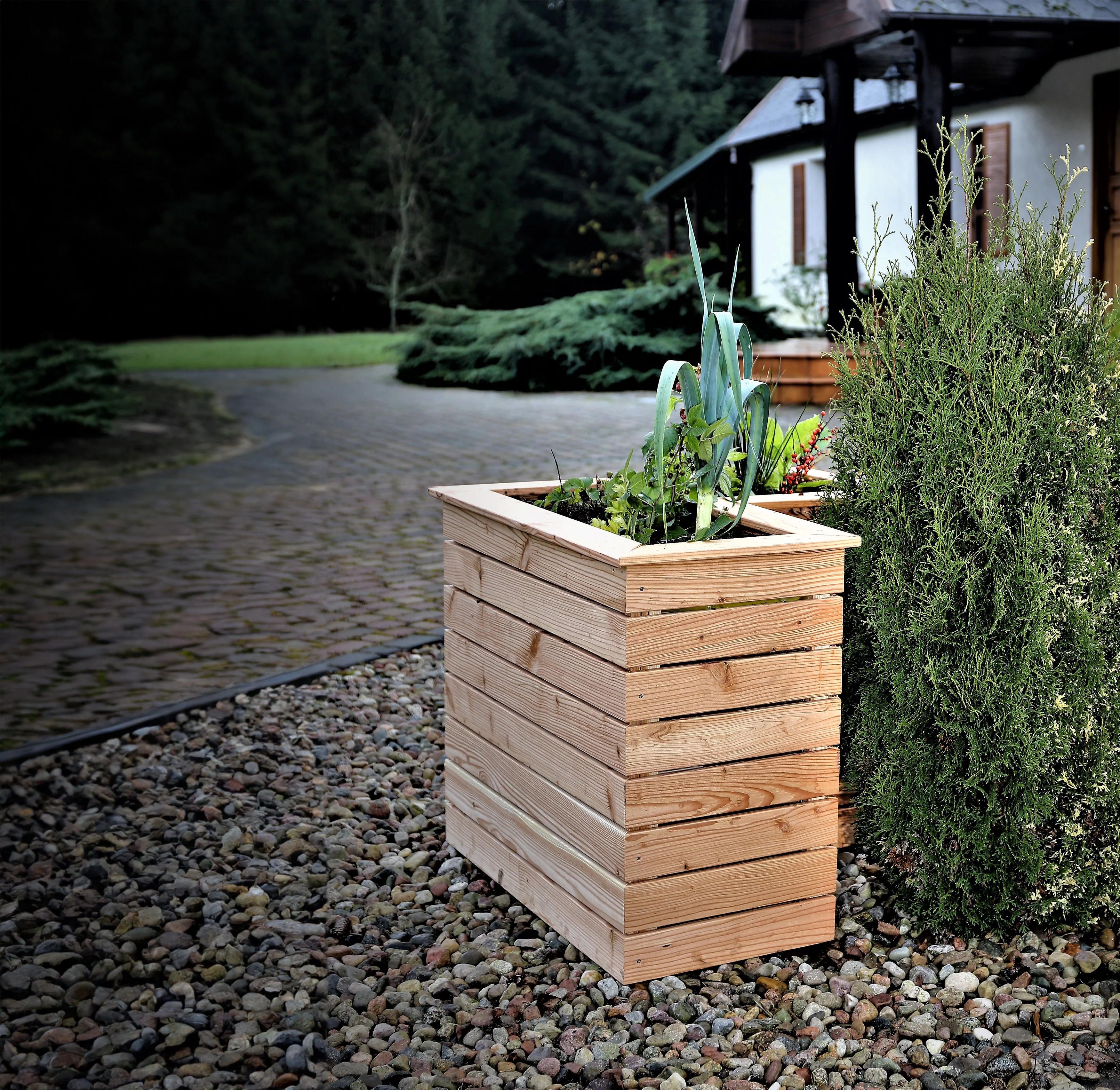 Shire Tina Larch Planter - Image 6