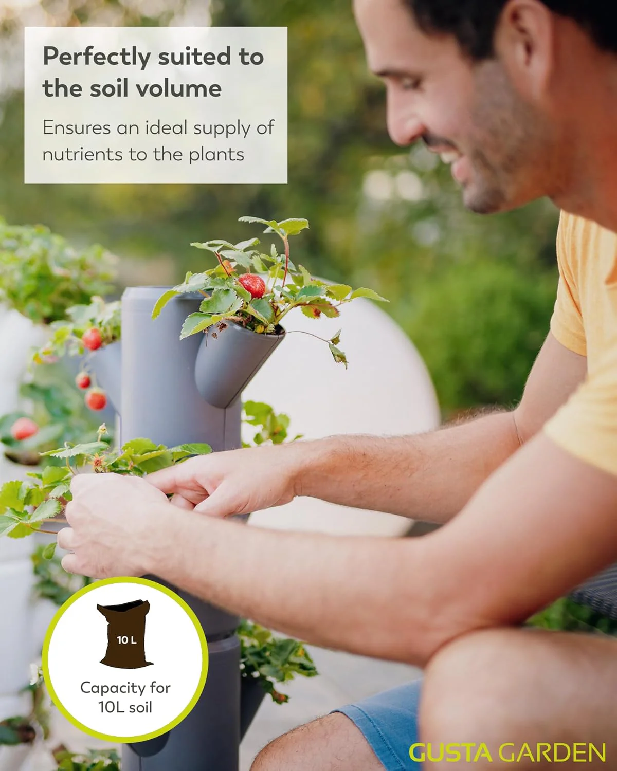 Sissi Strawberry Planter Starter - Grey - Image 5