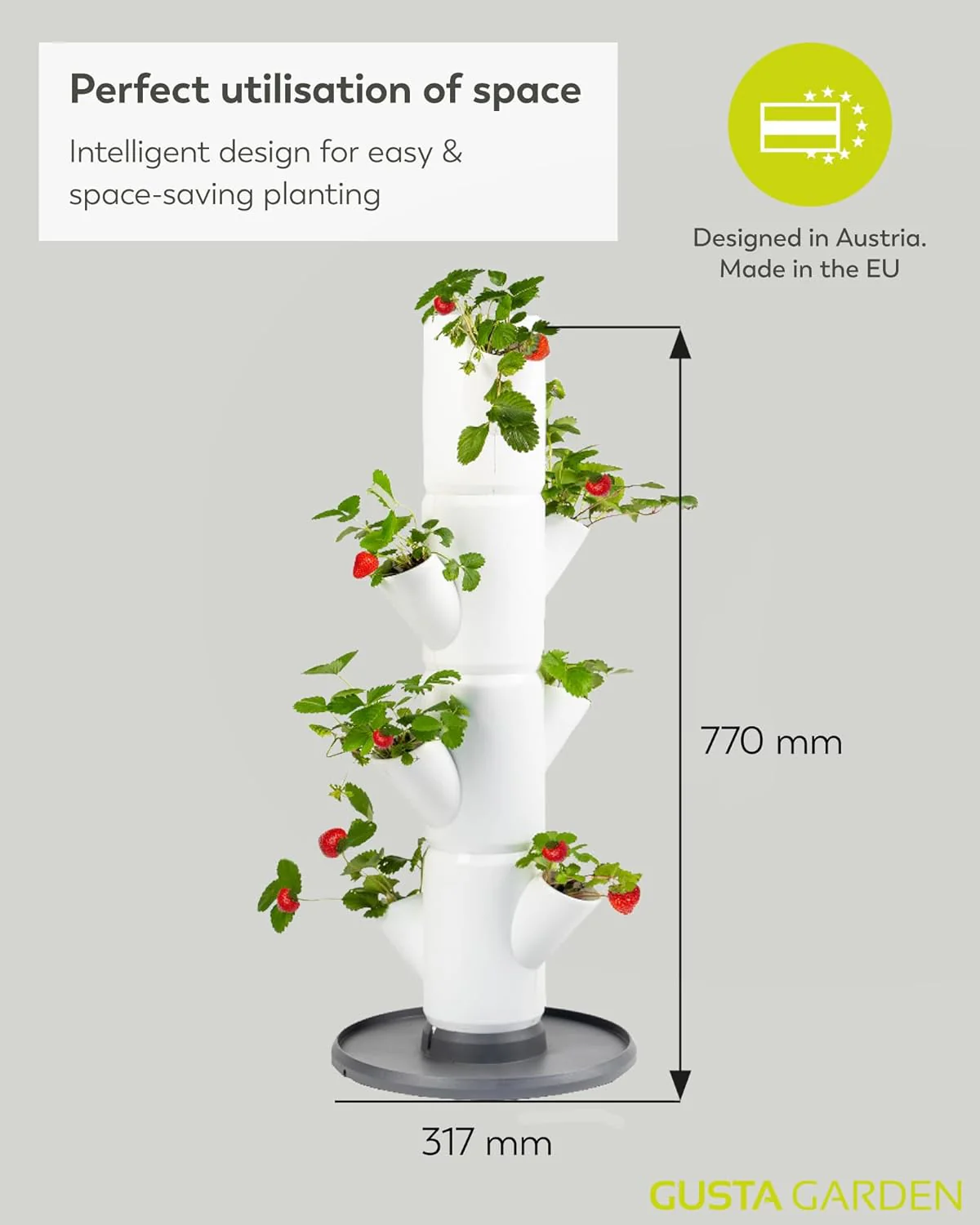 Sissi Strawberry Planter Starter - White - Image 6
