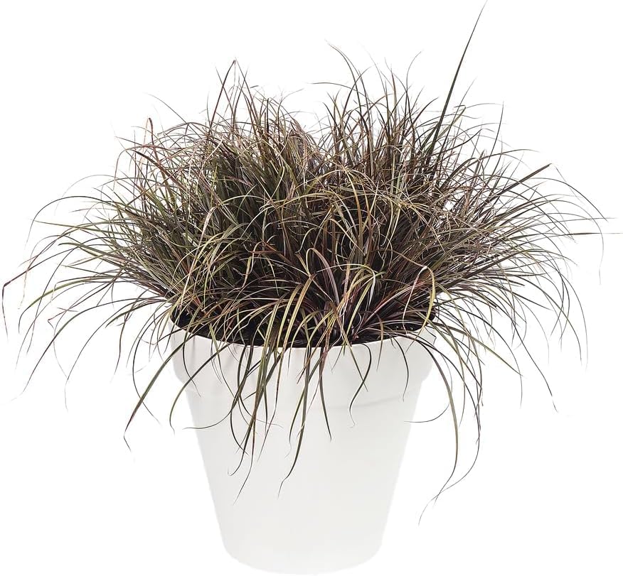 Urban Jungle Plant Pot - Indoor or Outdoor - 22cm White - Image 2
