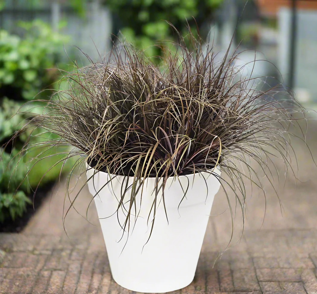 Urban Jungle Plant Pot - Indoor or Outdoor - 22cm White