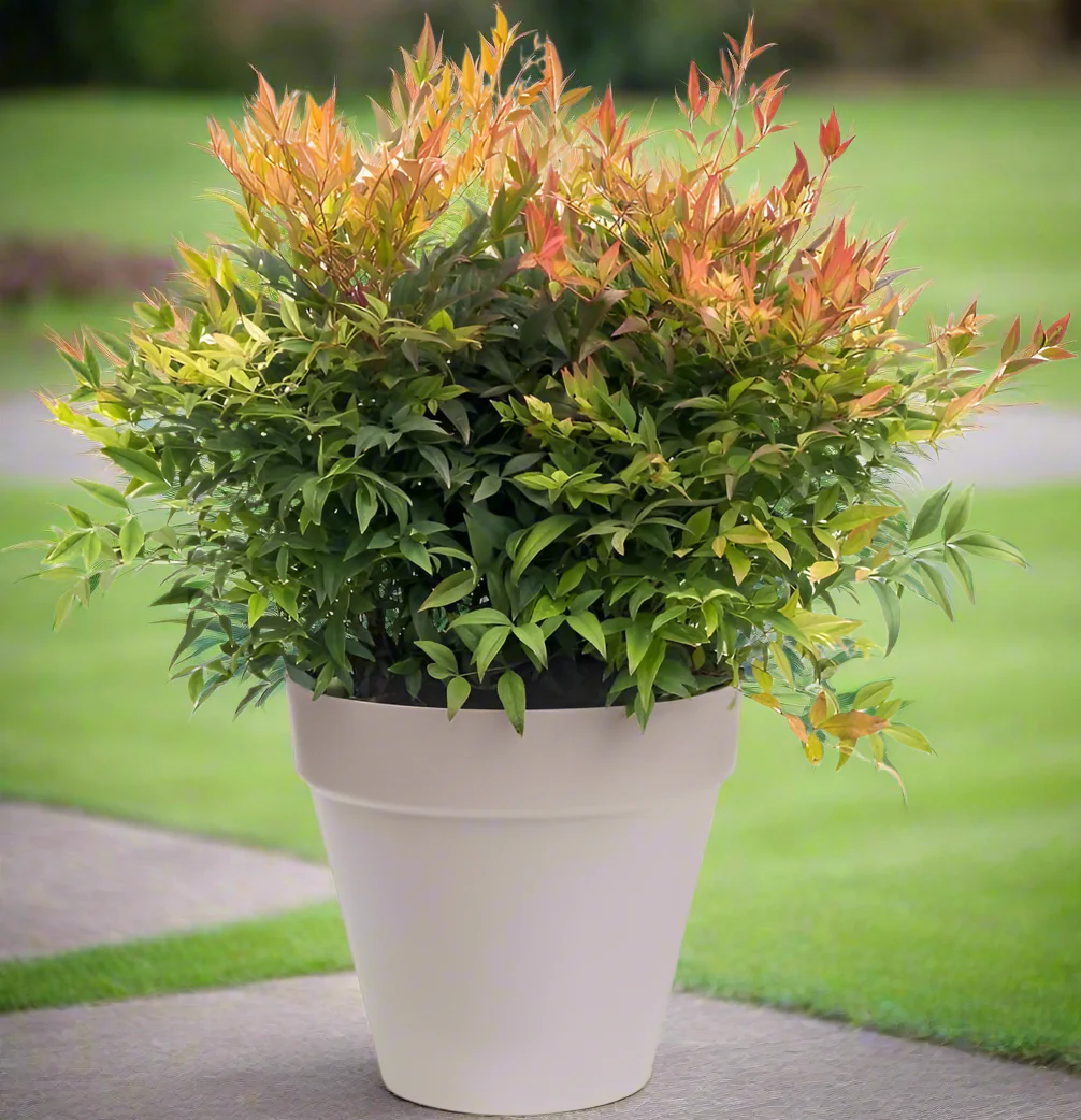 Urban Jungle Plant Pot - Indoor or Outdoor - 28cm Warm Grey