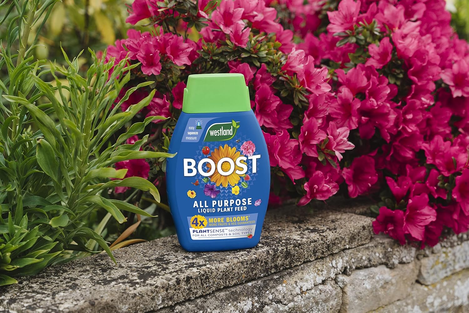Westland Boost All Purpose Liquid Plant Food 1 L - Image 3