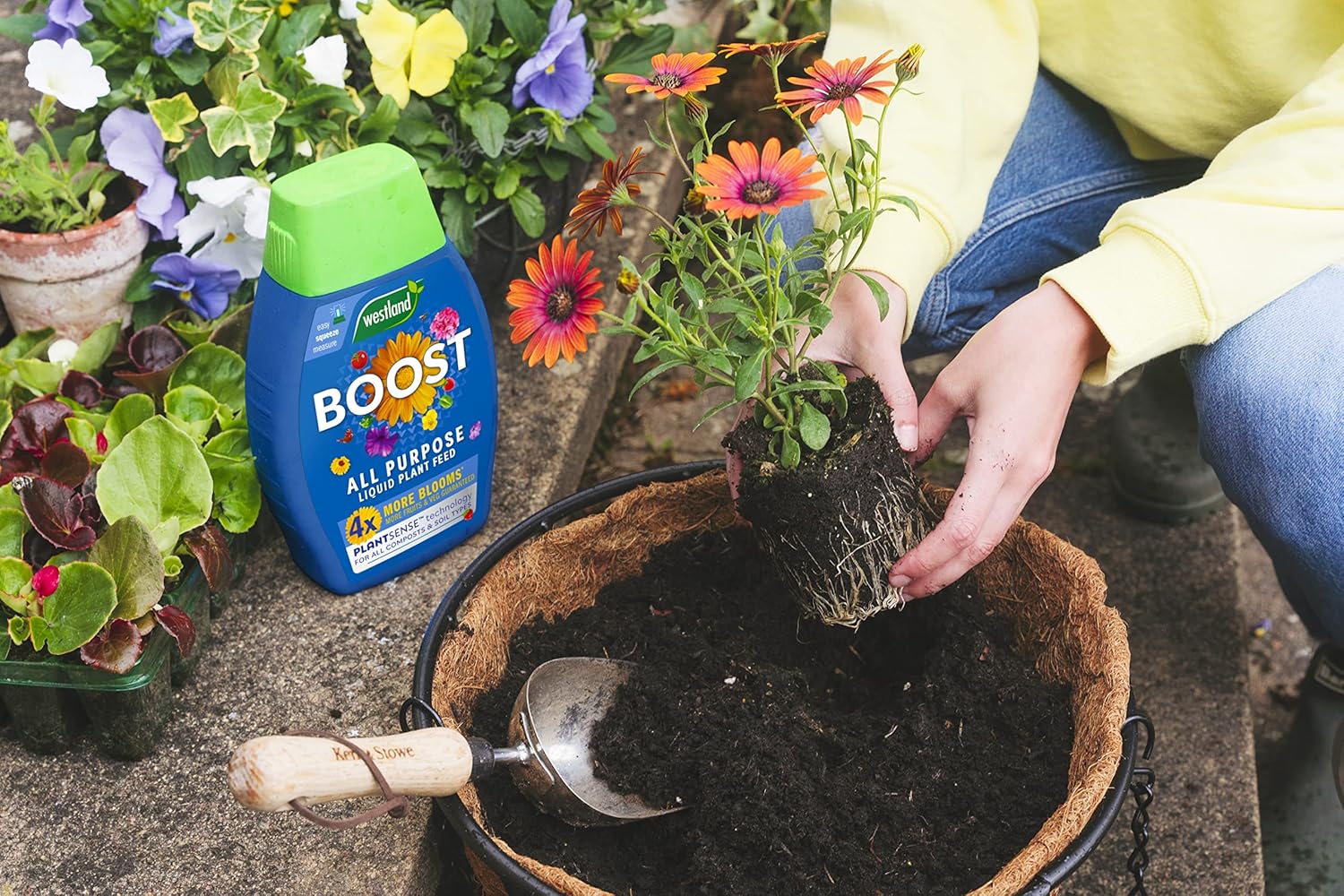 Westland Boost All Purpose Liquid Plant Food 1 L - Image 4