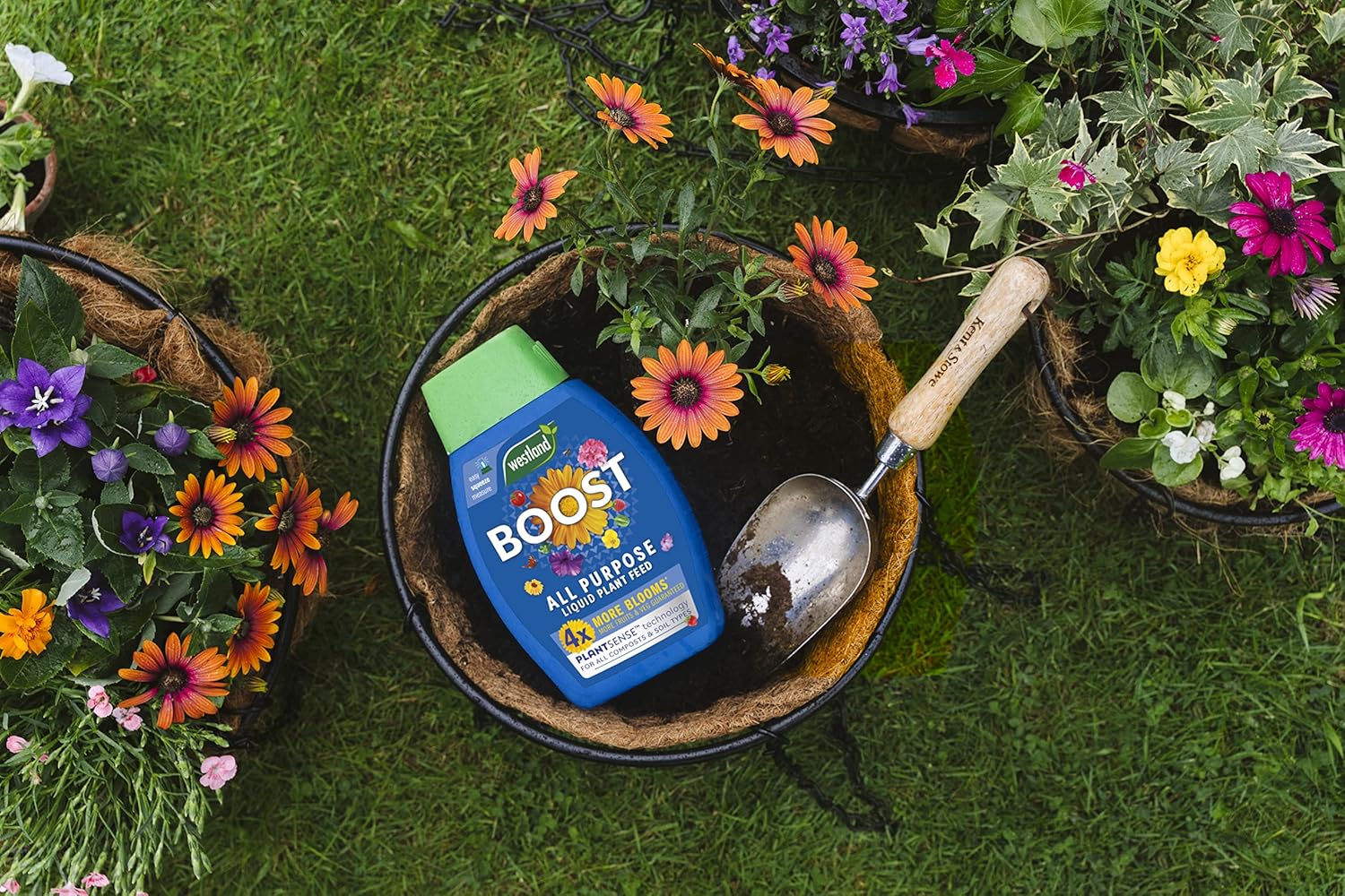 Westland Boost All Purpose Liquid Plant Food 1 L - Image 6